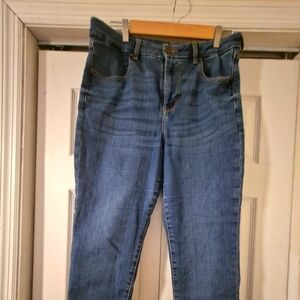 American Eagle Skinny Jeans 14 Short